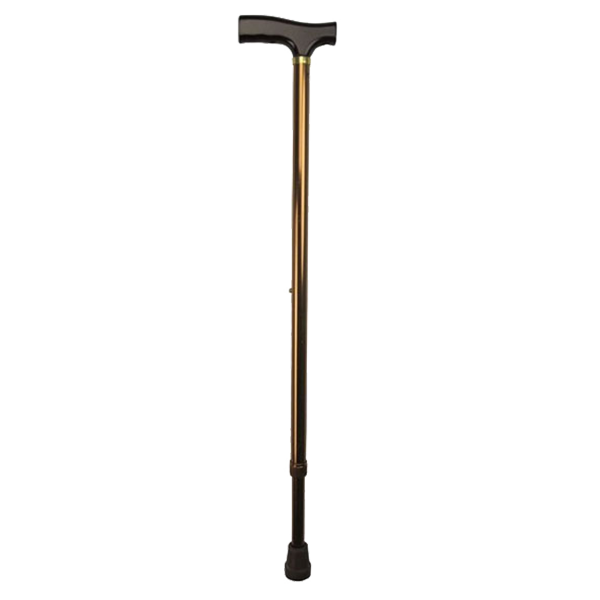 Walking Stick